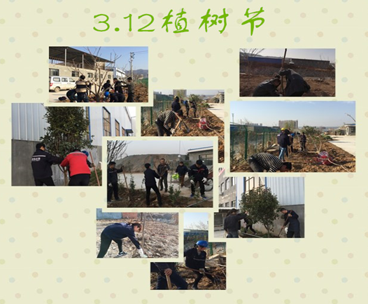 寶雞捷銳“迎春風(fēng)，綠家園”植樹節(jié)(圖3)